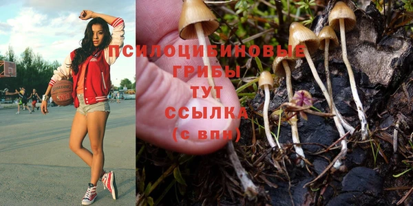 ALPHA PVP Верхний Тагил