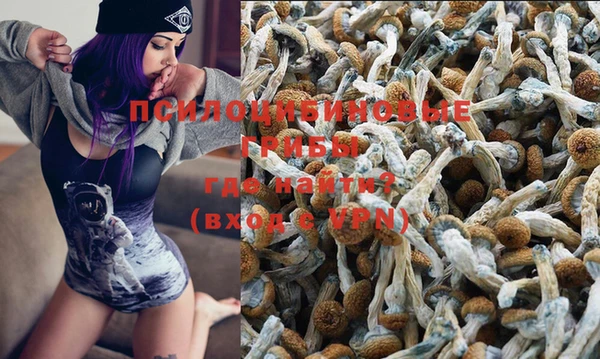 МДПВ Володарск