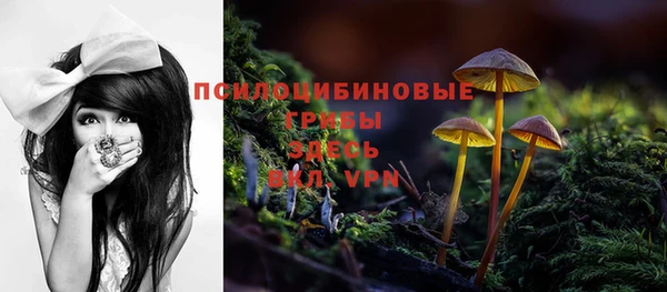 шишки Россошь